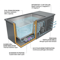 PolarEdge Monolith X Integrated Cold Plunge — How It Works