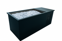 Cold Plunge Tub Built for Professional Recovery, 316L Stainless Steel Basin, Integrated Side-Chiller, Whisper-Quiet